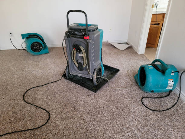 Best Basement water damage restoration  in Maytown, PA