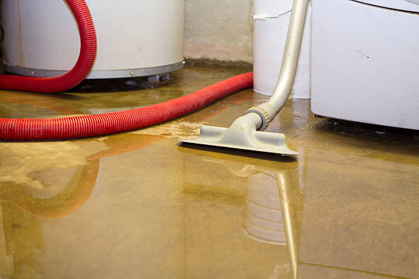 Best 24/7 water damage repair  in Maytown, PA