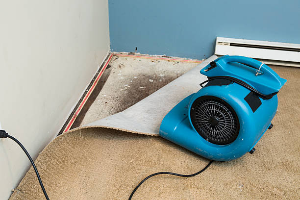Best Professional water damage repair  in Maytown, PA